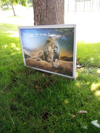 Vendo cuadro nuevo puzzle rey león, Coruña, 10 €.