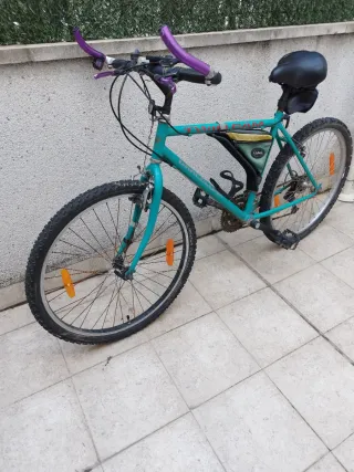 Bicicleta de montaña para adulto.