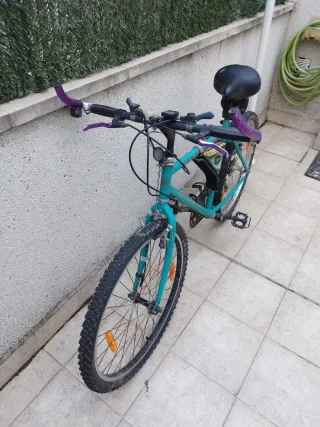 Bicicleta de montaña para adulto.