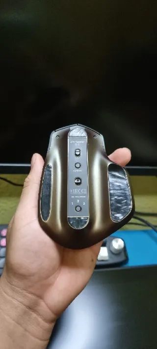Raton mx master logitech