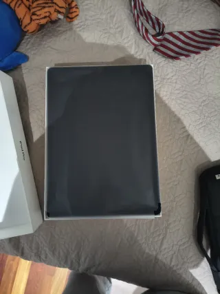 iPad Pro 12.9 2da Gen Space Gray