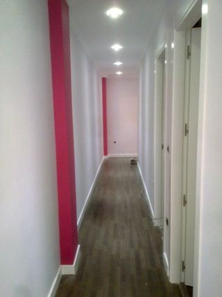 Pladurista y Pintor Económico Albacete