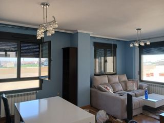 Pladurista y Pintor Económico Albacete