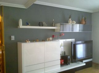 Pladurista y Pintor Económico Albacete