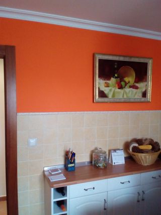 Pladurista y Pintor Económico Albacete