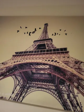 Profesora nativa de francés