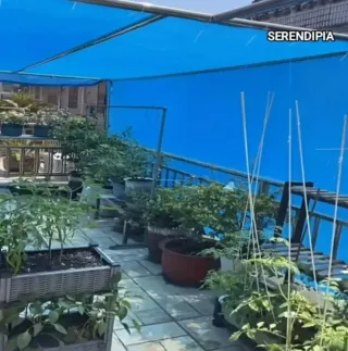 TOLDO VELA DE SOMBREO RECTANGULAR 4X5