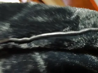 Capa corta de vestir negra