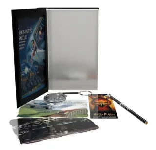 Pack Harry Potter: Libro y Figura Funko Pop