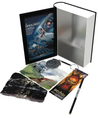 Pack Harry Potter: Libro y Figura Funko Pop