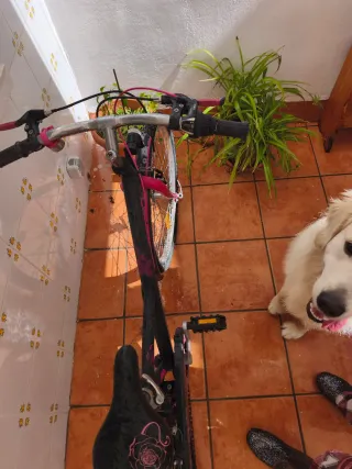 Bici niña Monster Hight  7-10 años