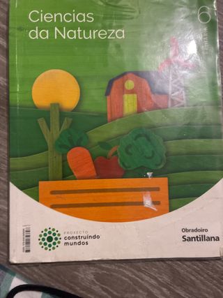 CIENCIAS DA NATUREZA 6 PRIMARIA CONSTRUINDO MUNDOS