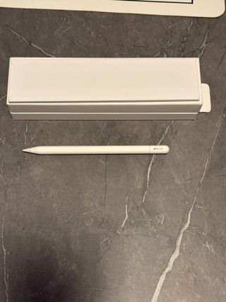 Apple Pencil USB-C con Garanzia