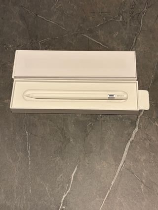 Apple Pencil USB-C con Garanzia