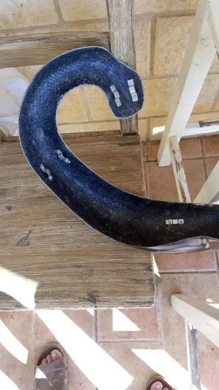 Protector Escape Enduro