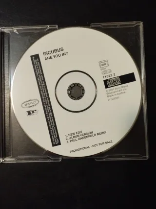 Incubus - Are You In? Maxi Single CD 2001