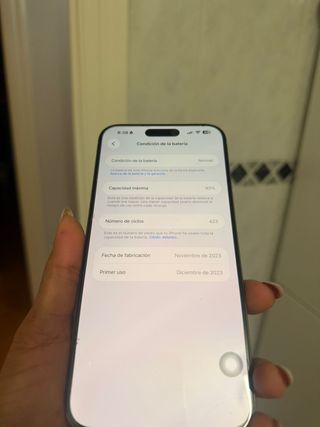 iPhone 15 Pro Max 256 GB Titanium