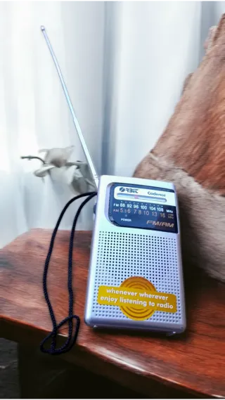 Radio portátil Orbit Cadence FM/AM Plata