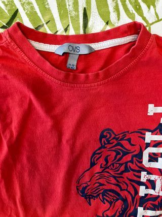 Lotto 5 t-shirt bambino 11-12 anni taglia 152