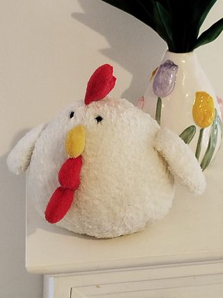 Gallina imbottita in pile