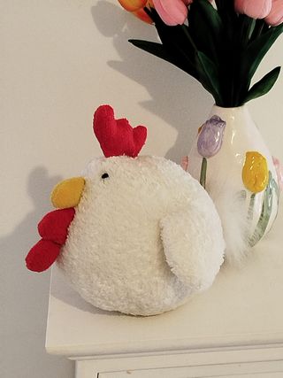 Gallina imbottita in pile