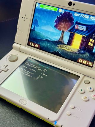 +200 Giochi IPS NewNintendo 3ds XL Animal Crossing