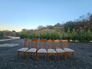 Juego de 6 sillas de madera y tela