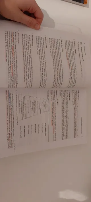 LA Economia mundial 4 Ed. revis. y act. (Spanis...