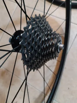 Ruedas AXIS ELITE.Carretera (11) Piñón