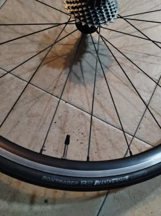 Ruedas AXIS ELITE.Carretera (11) Piñón