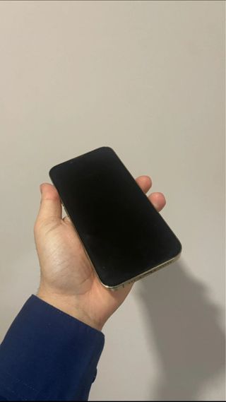 iPhone 13 Pro de 256 GB - Batería 100%
