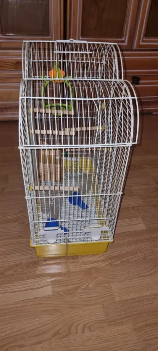 Jaula para agapornis, ninfas y crías muy grande