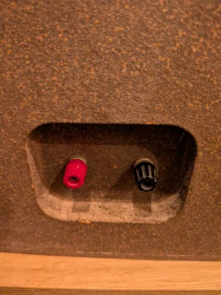 Altavoces Celestion Ditton 15 XR