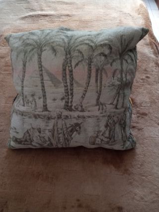 Vendo seis cojines nuevos en Coruña por 20 euros.