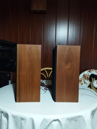 Altavoces Negro y Marrón