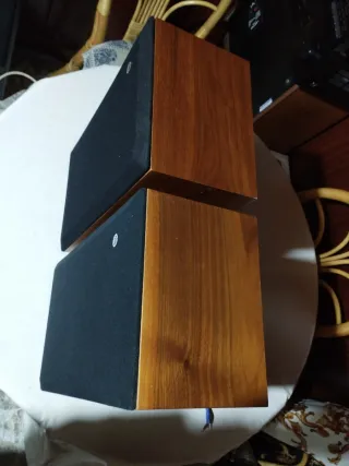 Altavoces Negro y Marrón