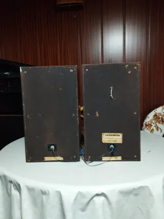 Altavoces Negro y Marrón