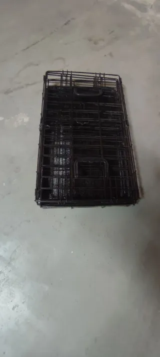 Transportín para mascotas plegable