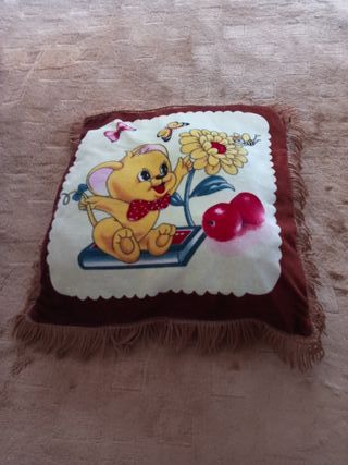 Vendo cinco cojines nuevos en Coruña por 20 euros.