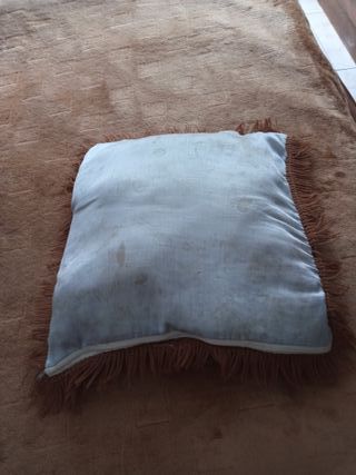 Vendo cinco cojines nuevos en Coruña por 20 euros.