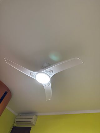 persona para cuidado y compañia para mujer 79 años