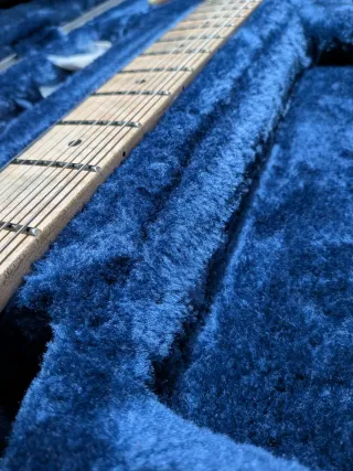 Ibanez M300C Hard Case