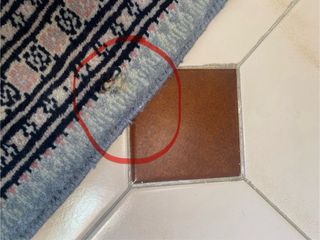 Alfombra Persa Pequeña Rosa y Azul