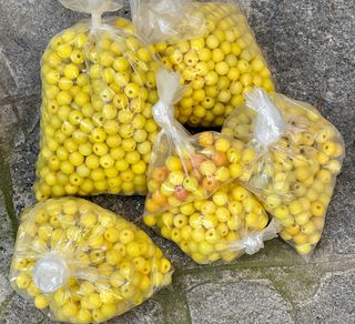 Lotto perline miste per creazioni fai da te