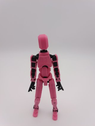 Figura Articulada Dummy 13 Montada