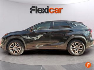 Lexus NX 2.5 300h Business Navigation 2WD