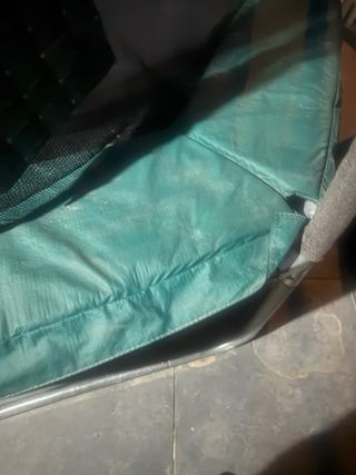 Cama elástica con red de seguridad  diámetro 240