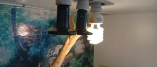 Terrario para reptiles