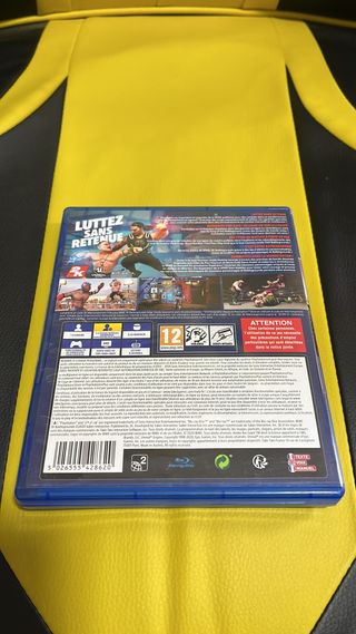 W2K Battle Grounds PS4 Pal Fra