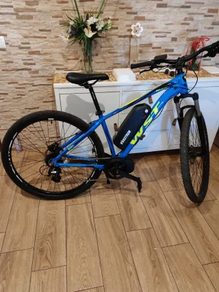 Kit bicicleta eléctrica tongsheng tsdz8 + batería